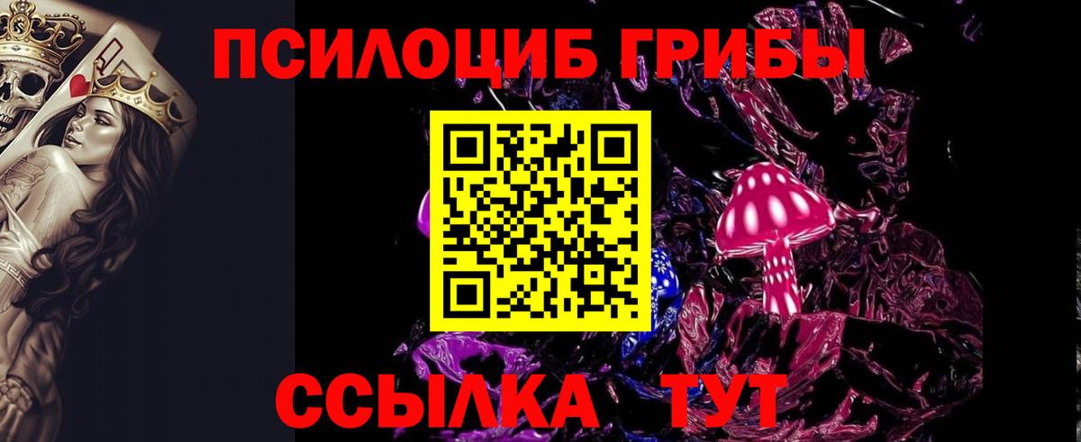 Псилоцибиновые грибы прущие грибы Тамбов