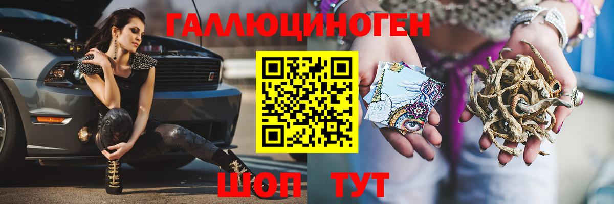 Тамбов  Псилоцибиновые грибы прущие грибы  Вход с VPN  Псилоцибиновые грибы Cubensis 