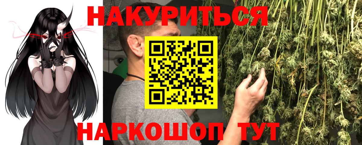 Шишки марихуана семена Тамбов